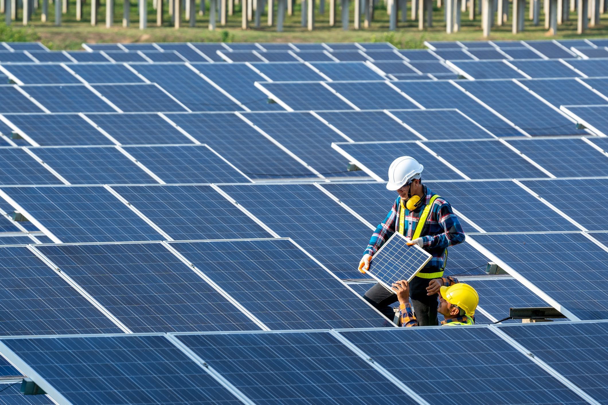 Вот тебе и экология: британским фермерам хотят запретить использовать солнечные панели