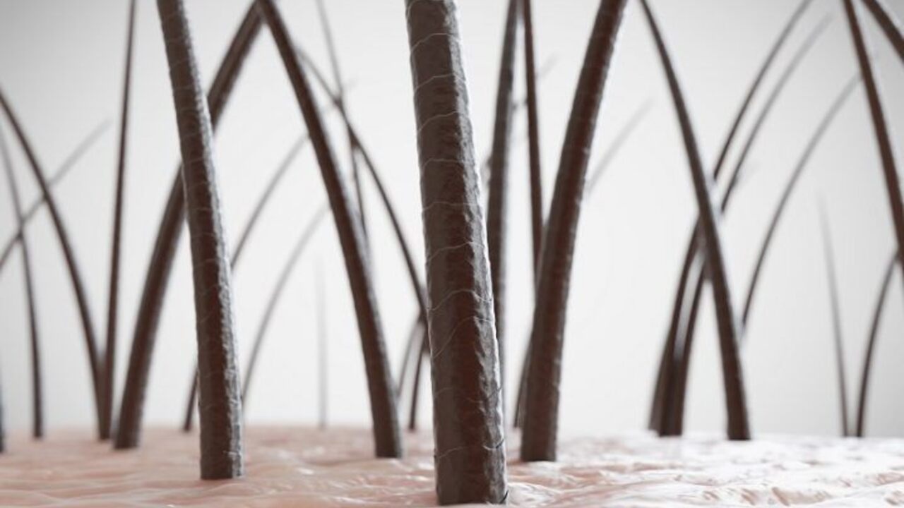 Разработан пластырь с микроиглами для восстановления роста волос — Ferra.ru