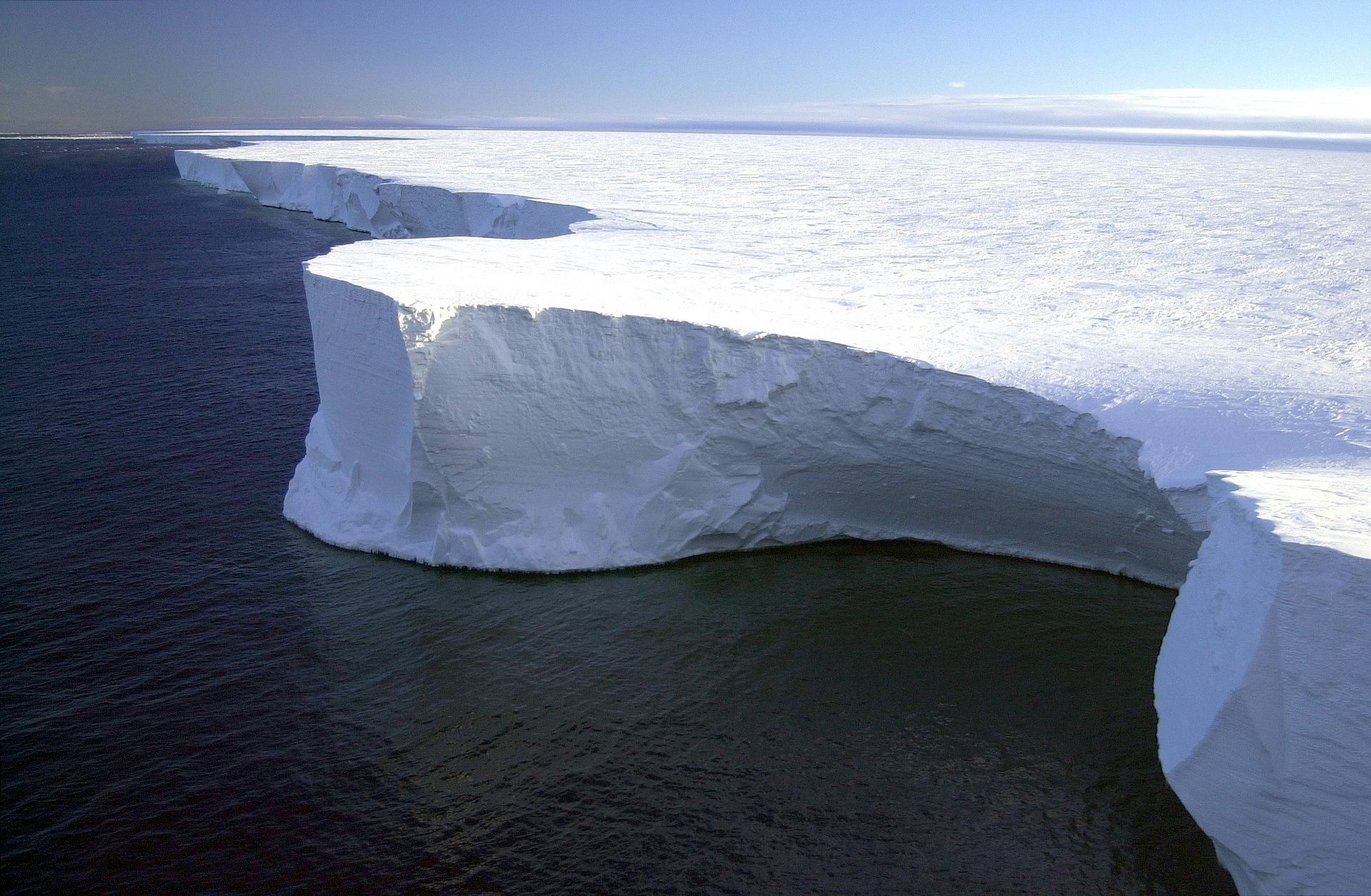 Антарктида не так безжизненна. Под морским льдом могут скрываться планктоны