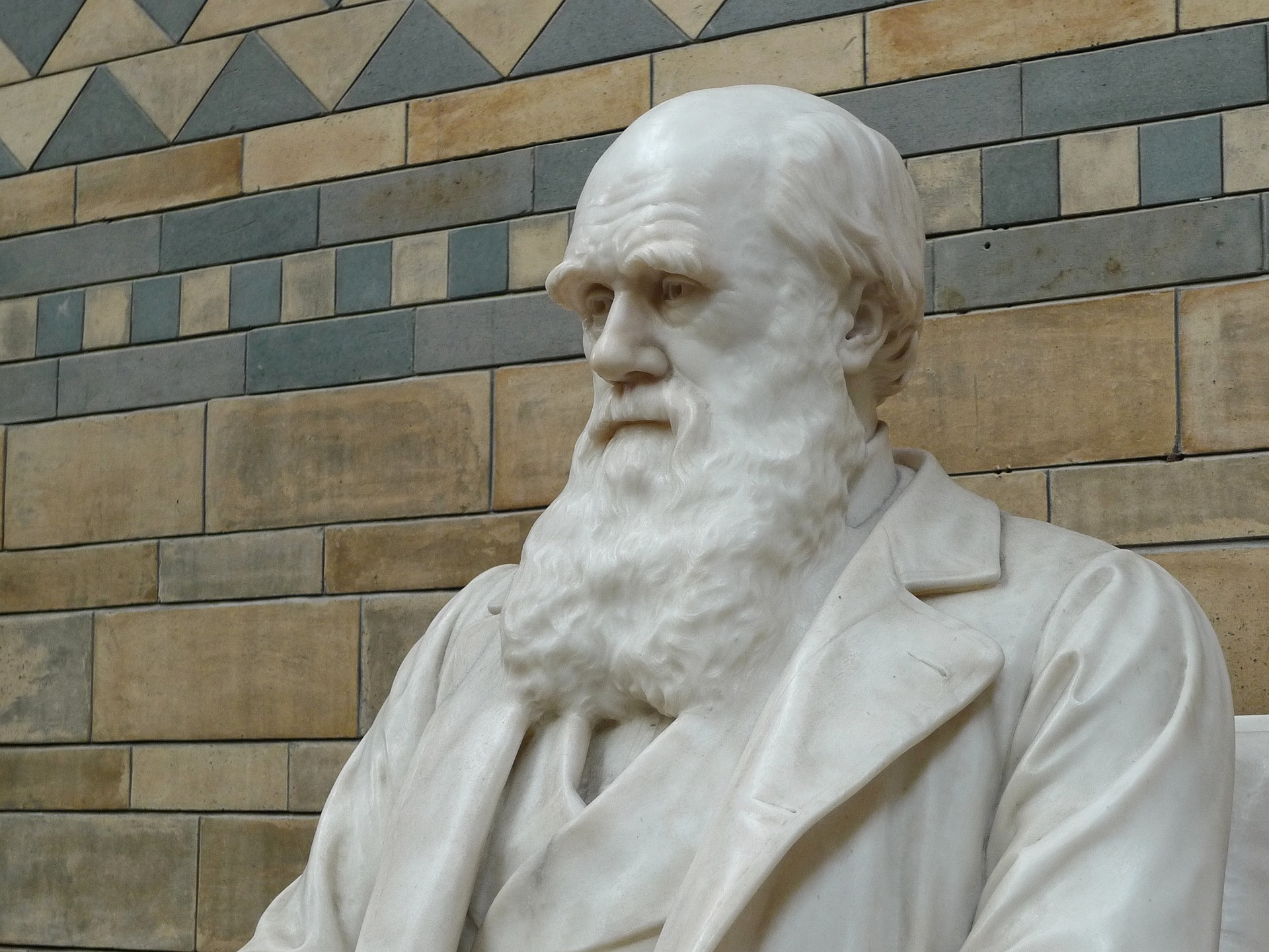 Отказался ли Дарвин от теории эволюции Теперь вы можете прочитать все его письма и узнать