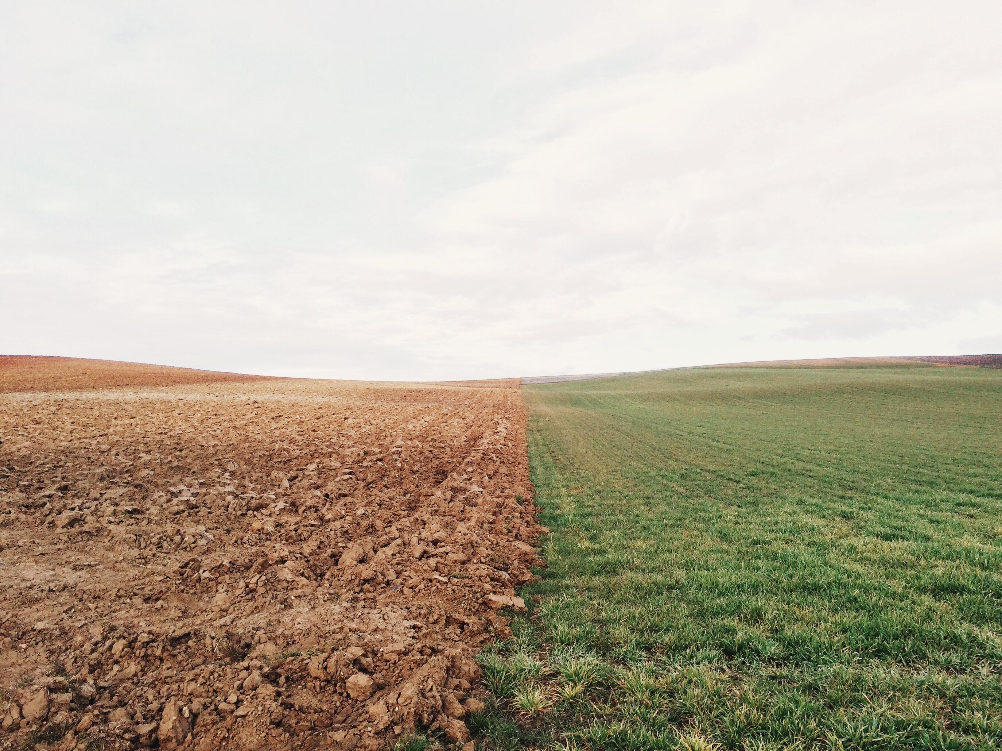 Почва в США разрушается до тысячи раз быстрее, чем формируется: чем это грозит