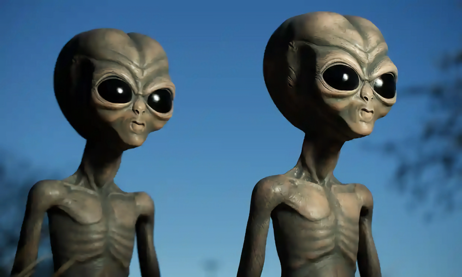 Специальное подразделение Пентагона прокомментировало высадки НЛО на Земле