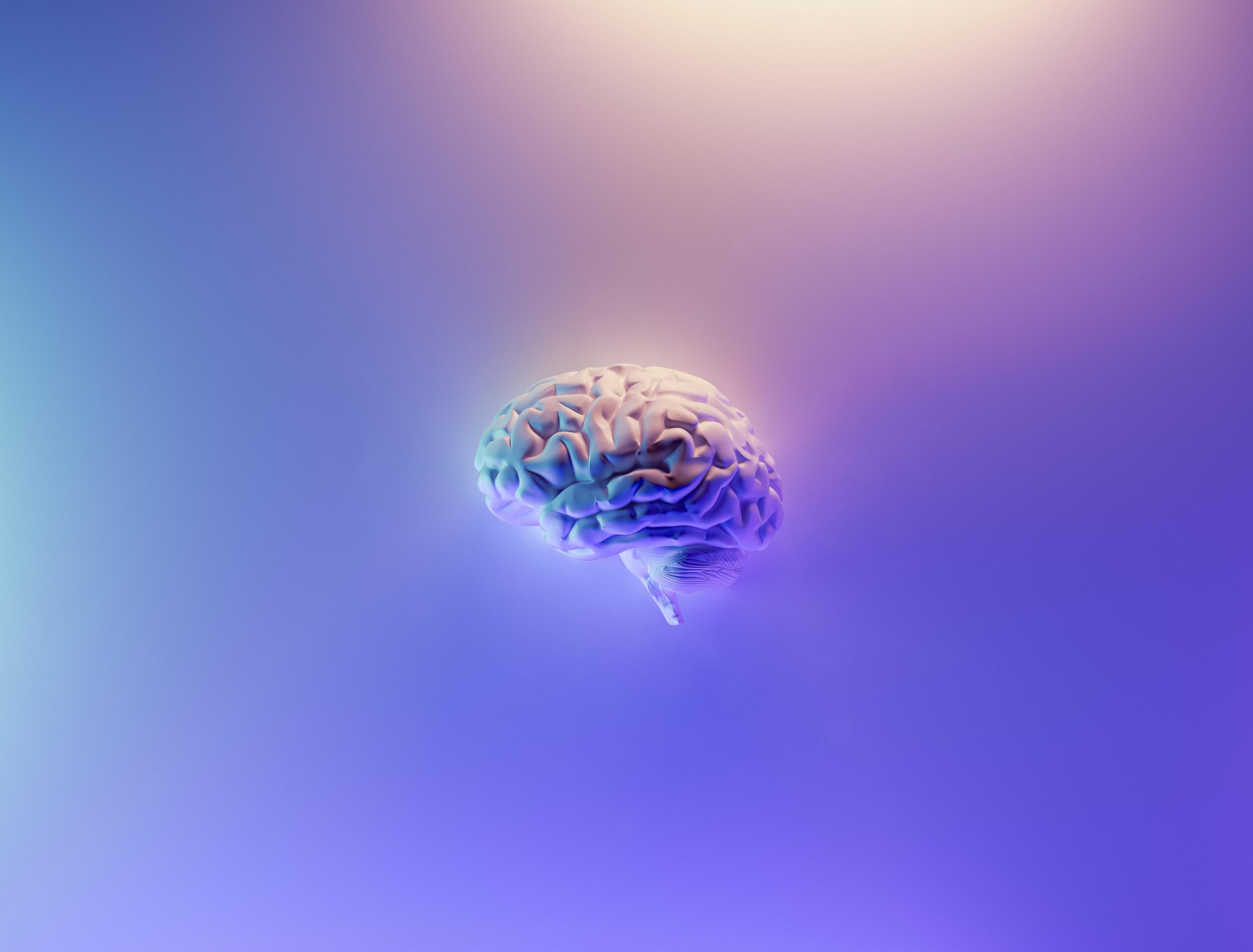 Учёные выяснили, что информация хранится «между синапсами» в мозге