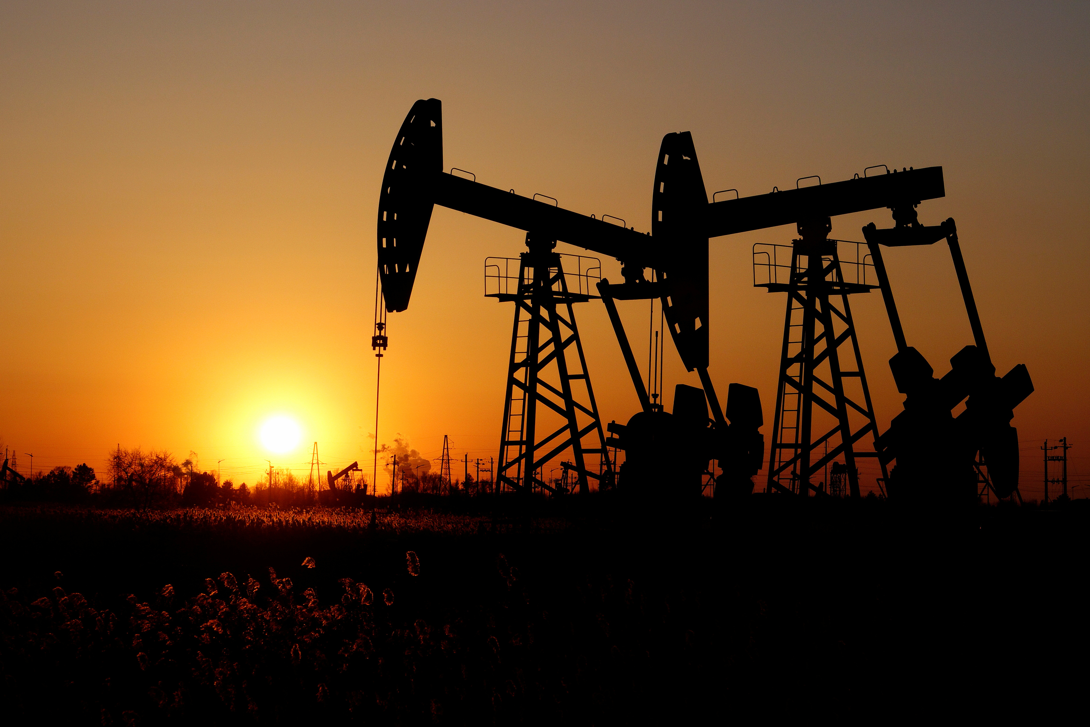 Что станет важнее нефти в ближайшие 50 лет