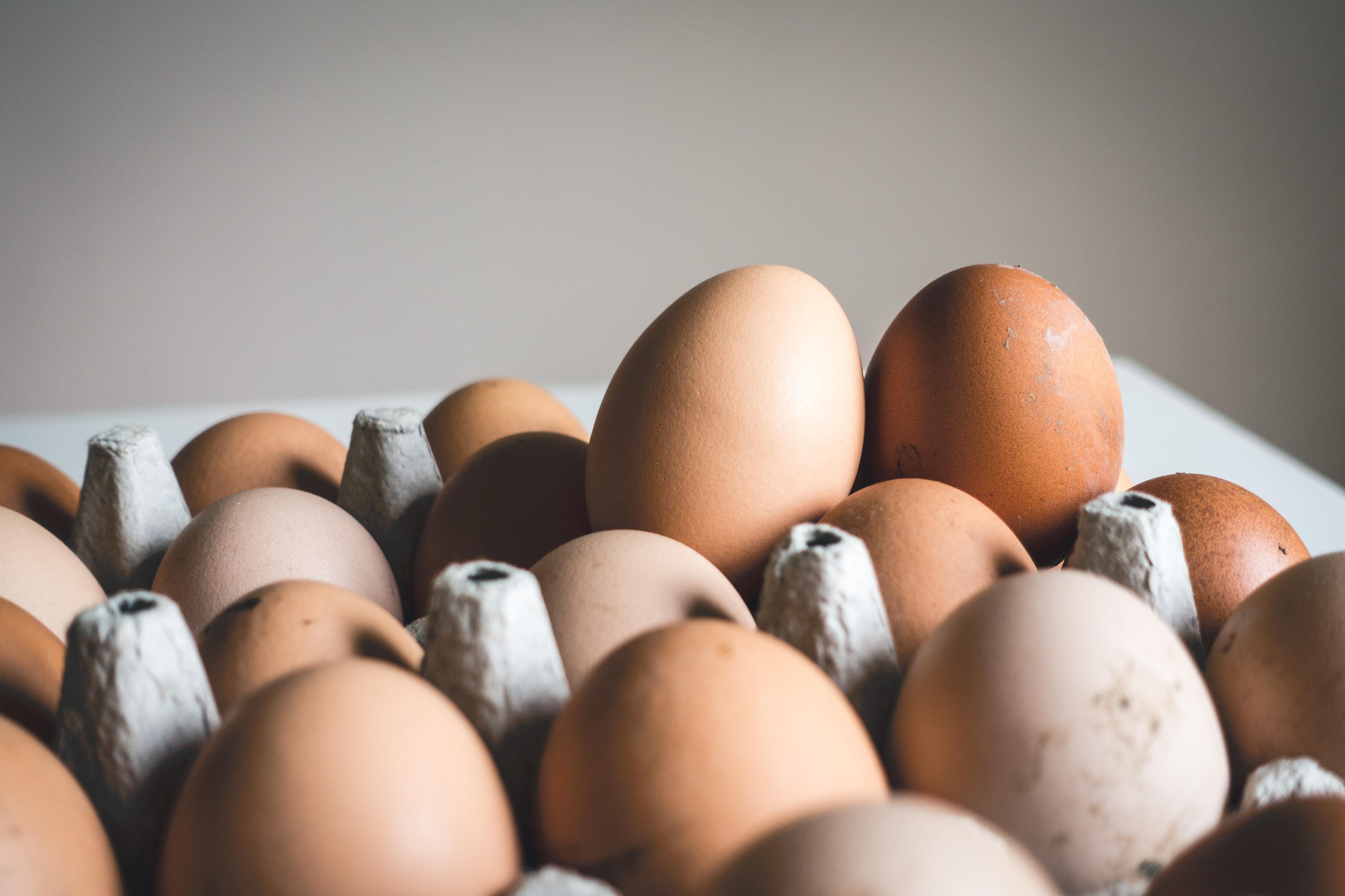 Как долго хранятся яйца и как определить, что они испортились