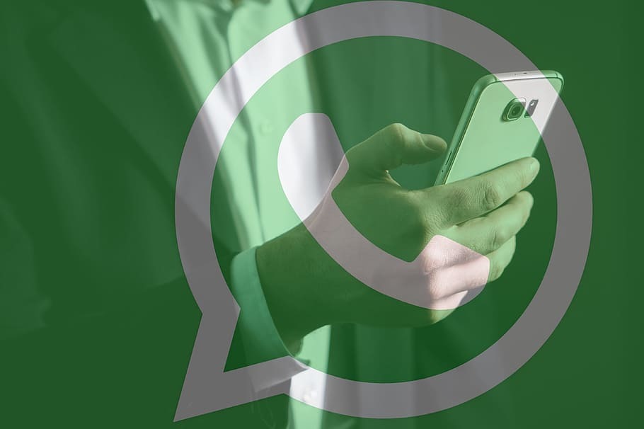 Названы три удобные функции WhatsApp, которые многие не используют из-за незнания