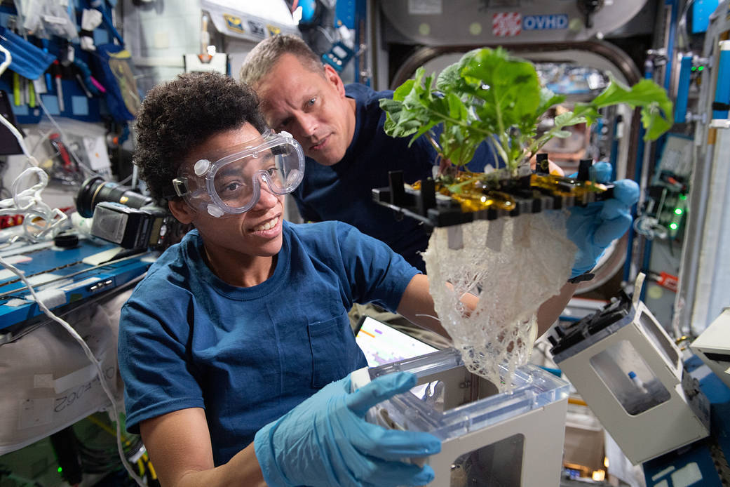 Астронавты Джессика Уоткинс и Боб Хайнс тестируют беспочвенные гидропонные и аэропонные методы выращивания растений