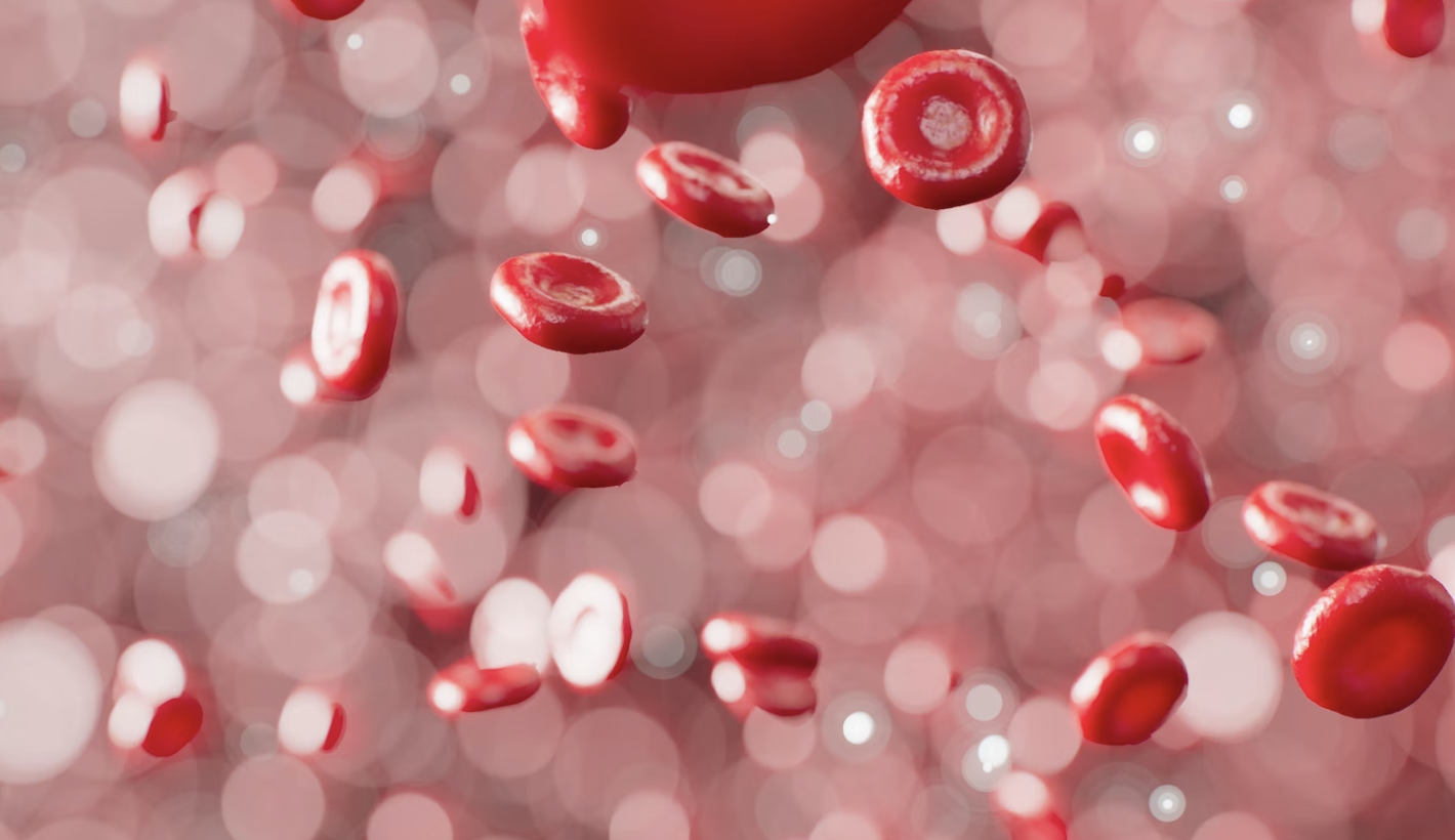 Найдена неожиданная функция иммунных клеток крови