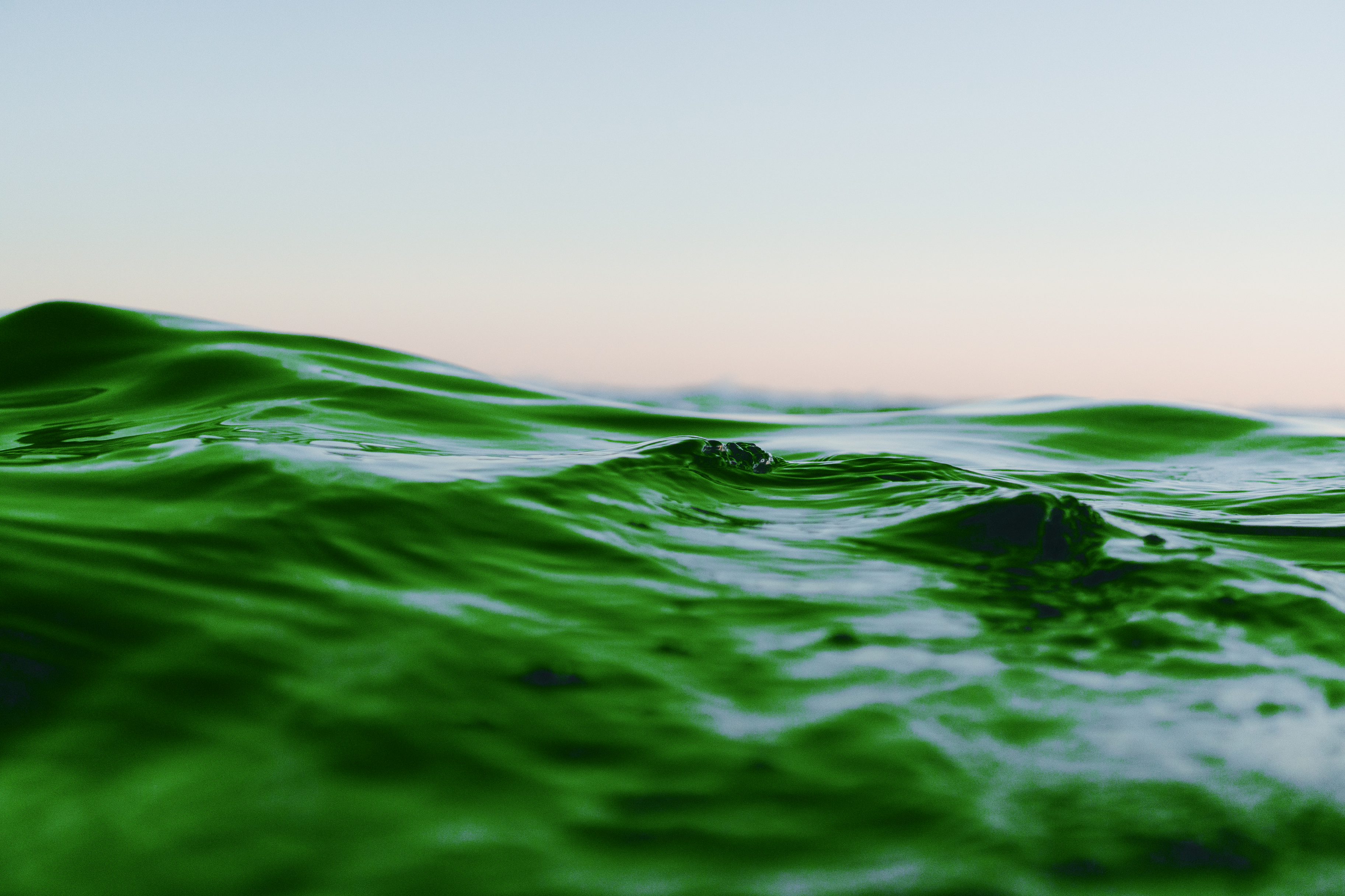 Как подготовиться к повышению кислотности океана