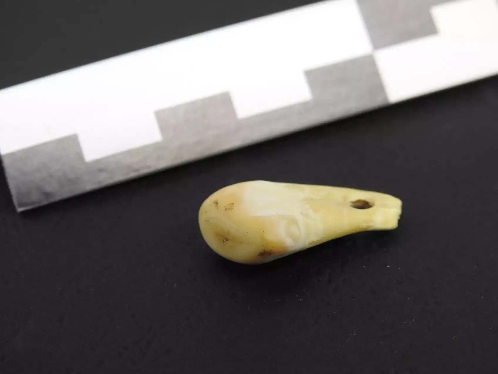Ученые восстановили ДНК древнего человека из кулона возрастом 20 000 лет