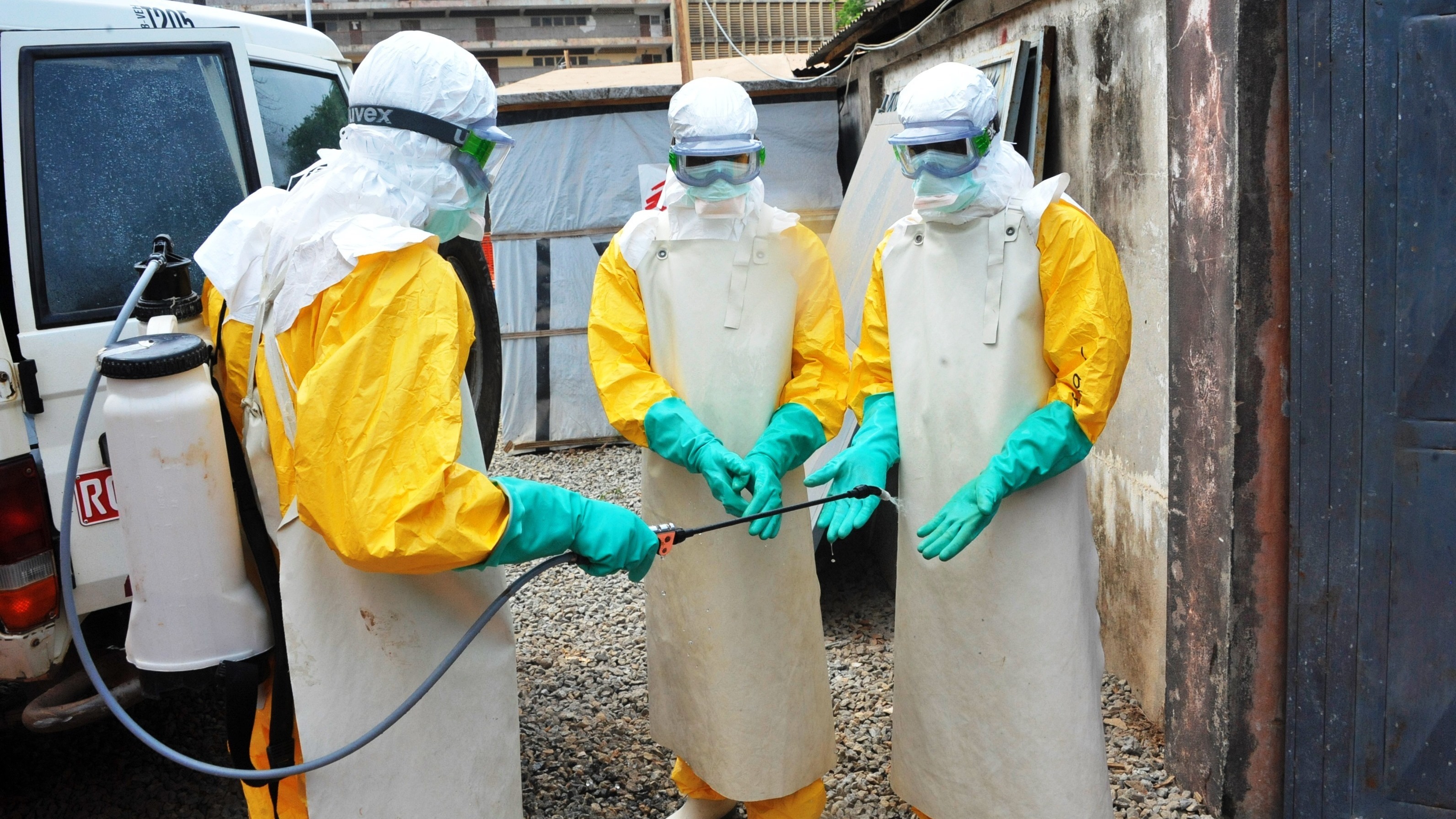 Учёные забили тревогу: вирус Эбола оказался способен сохраняться в организме долгие годы