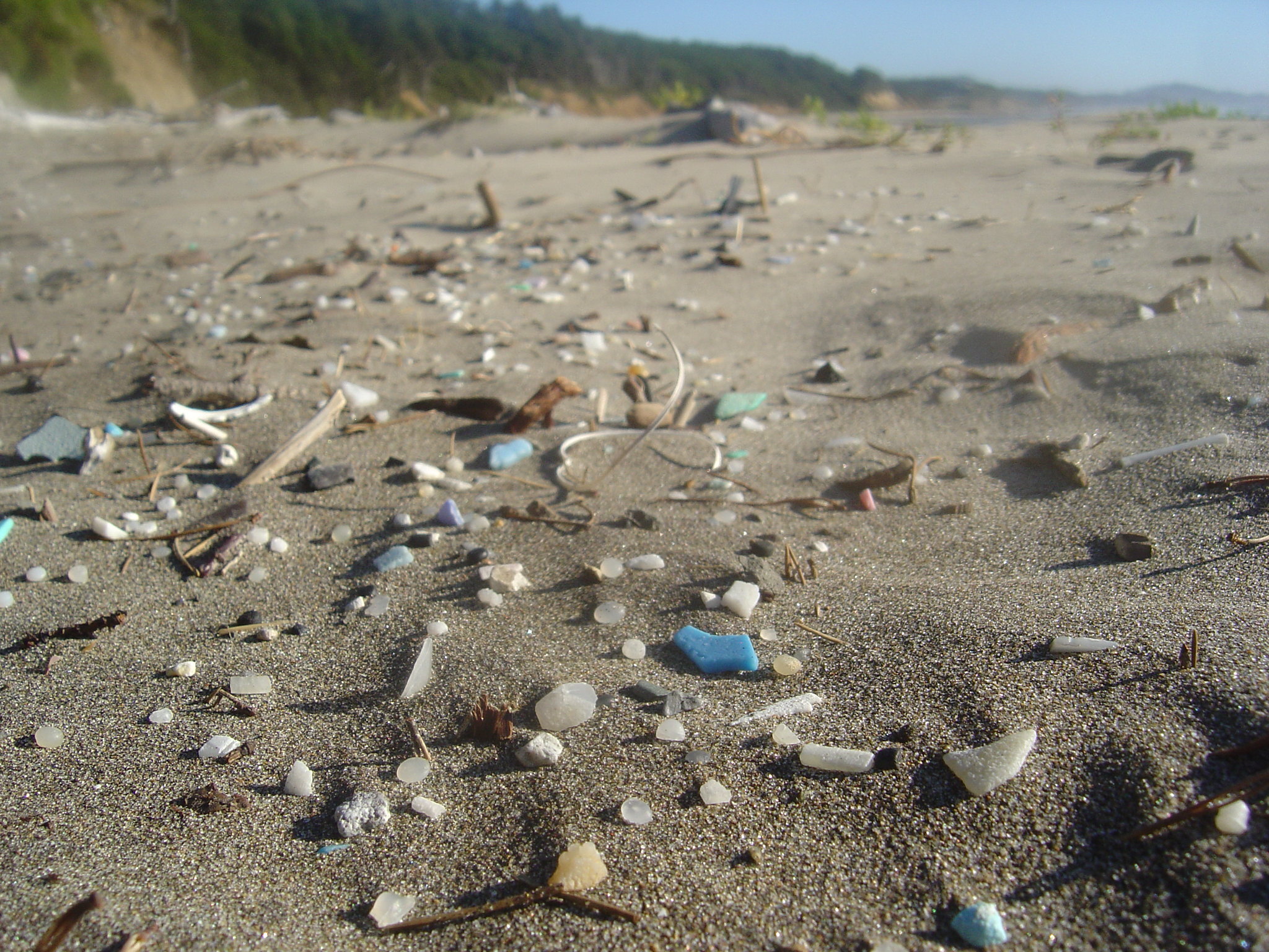 Российские ученые нашли самые загрязненные пляжи мира