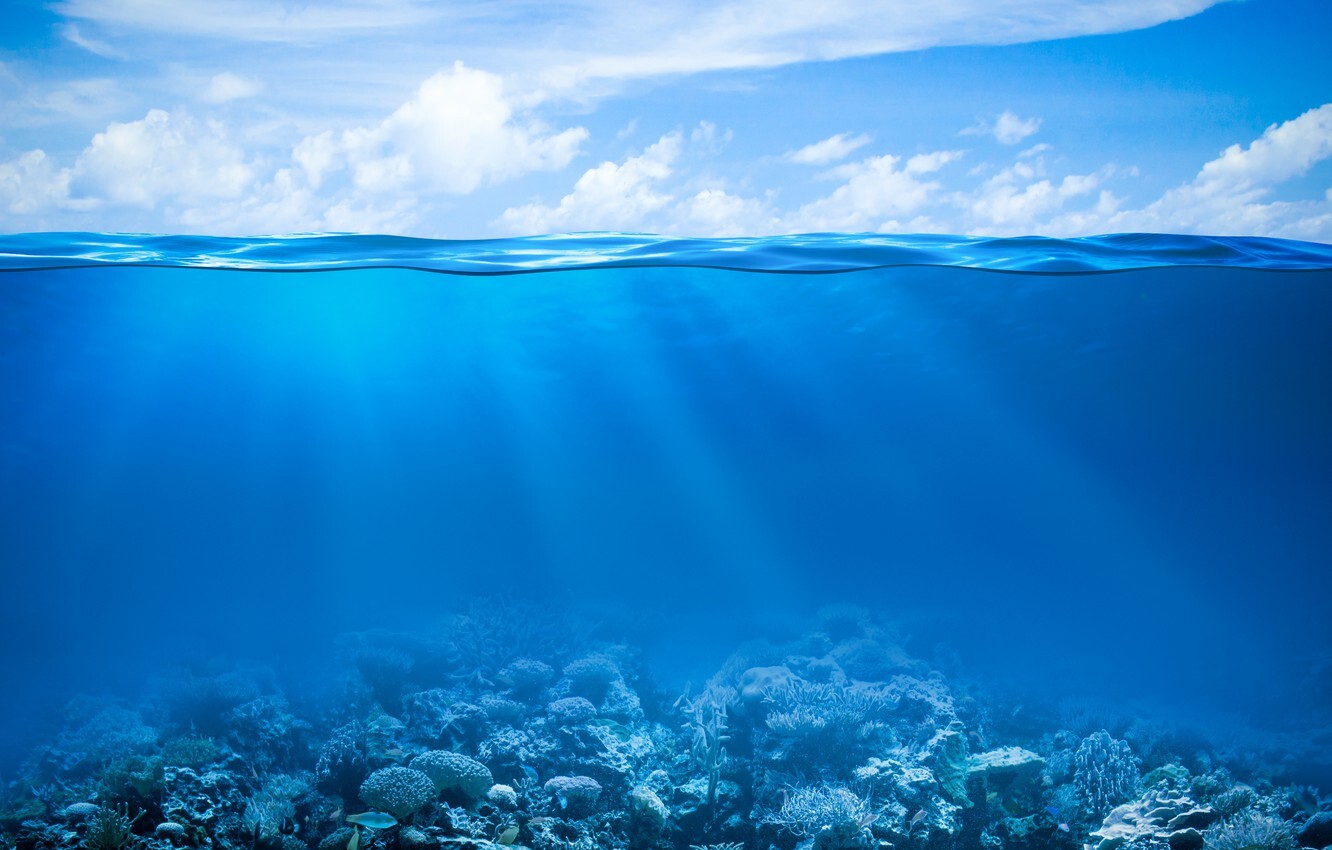 Учёные обнаружили на дне Мирового океана опасность для подводных лодок