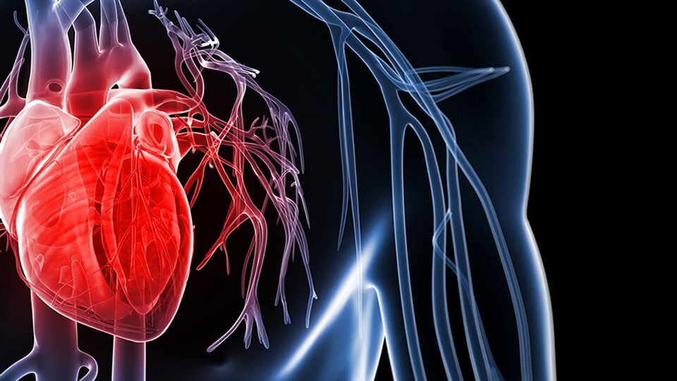 Учёные создали беспроводной датчик, который точно диагностирует состояние сердца даже при движении