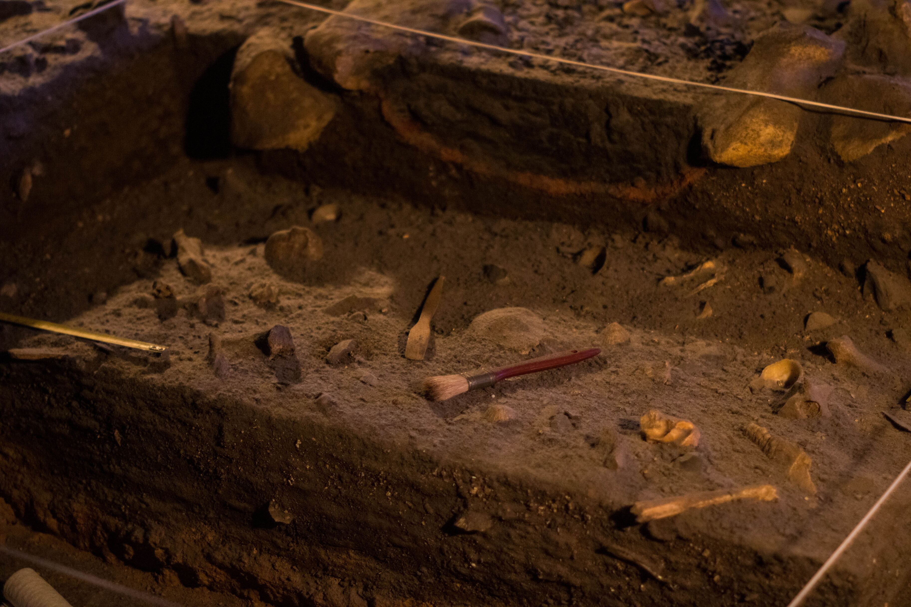 Археологи нашли в Курганской области захоронение возрастом более двух тысяч лет