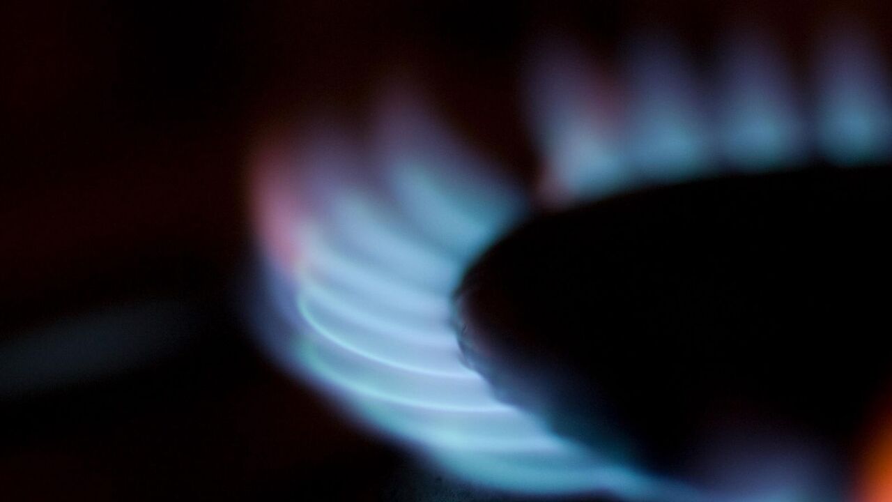 Мембрана вут газель