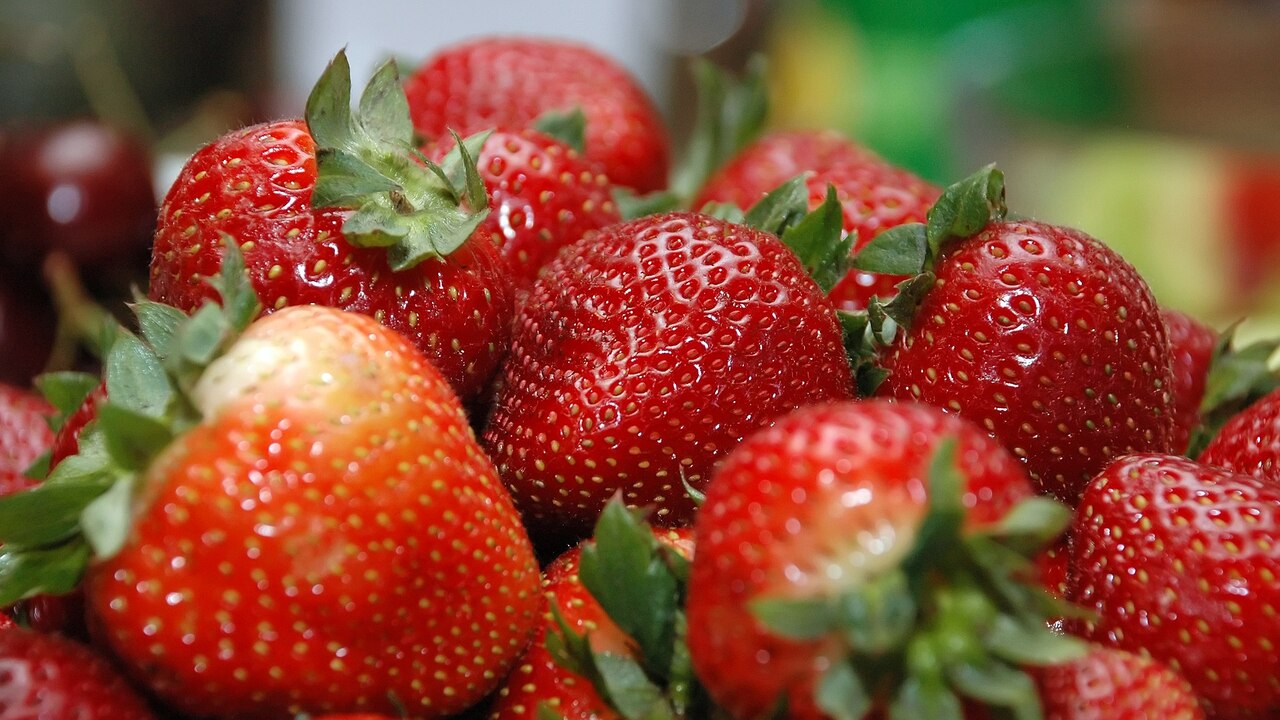 Врач из России рассказала, чем полезна клубника: Новости: Фитнес и ...