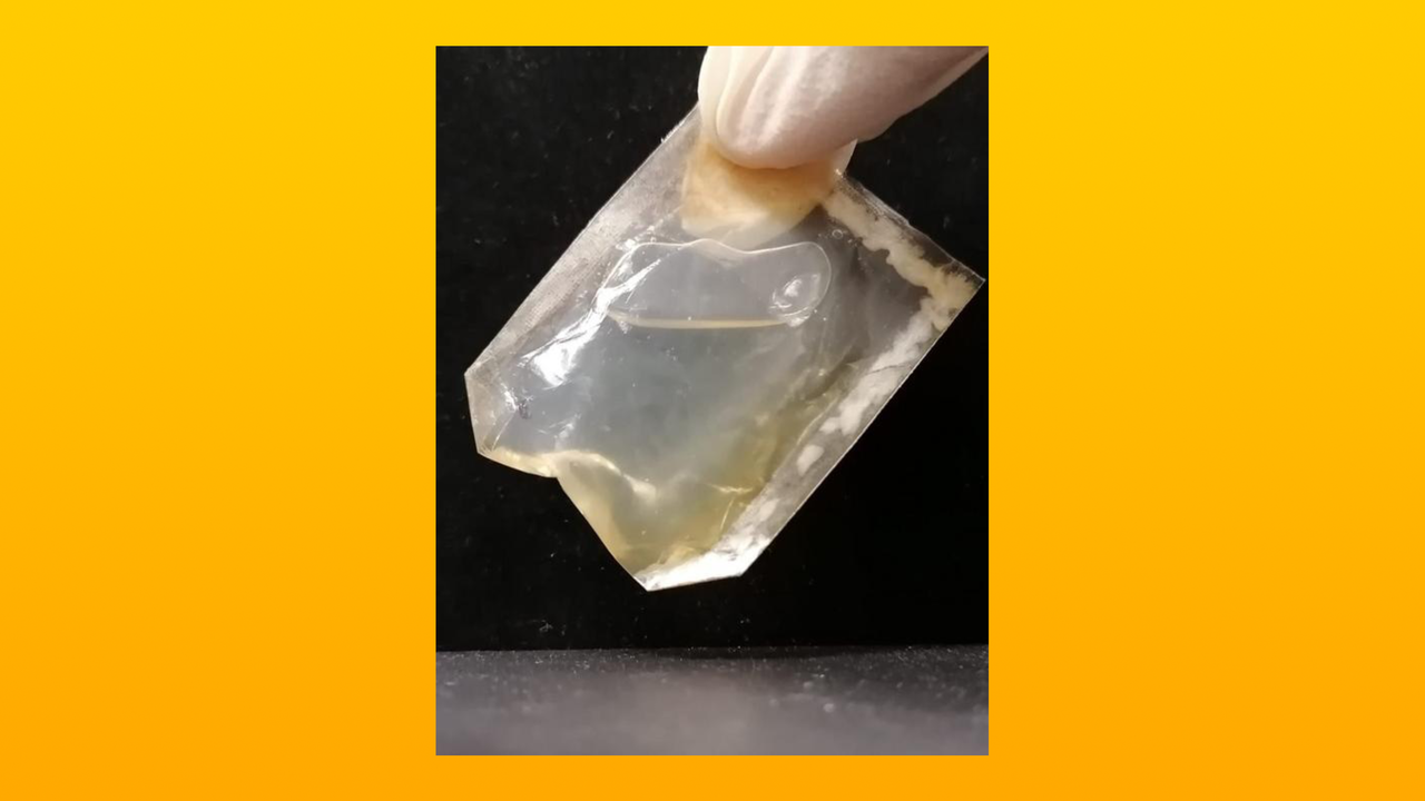 Из бактериальной целлюлозы создали съедобный упаковочный материал ...