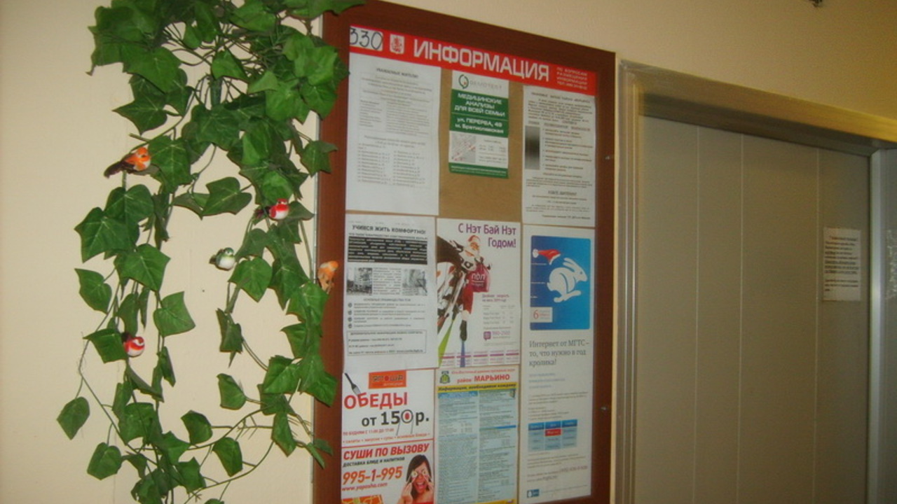 Рекламный стенд в подъезде. Реклама в лифтах рязань. Информационные доски в подъездах. Рекламный стенд в лифте. Рекламный стенд в подъезде.