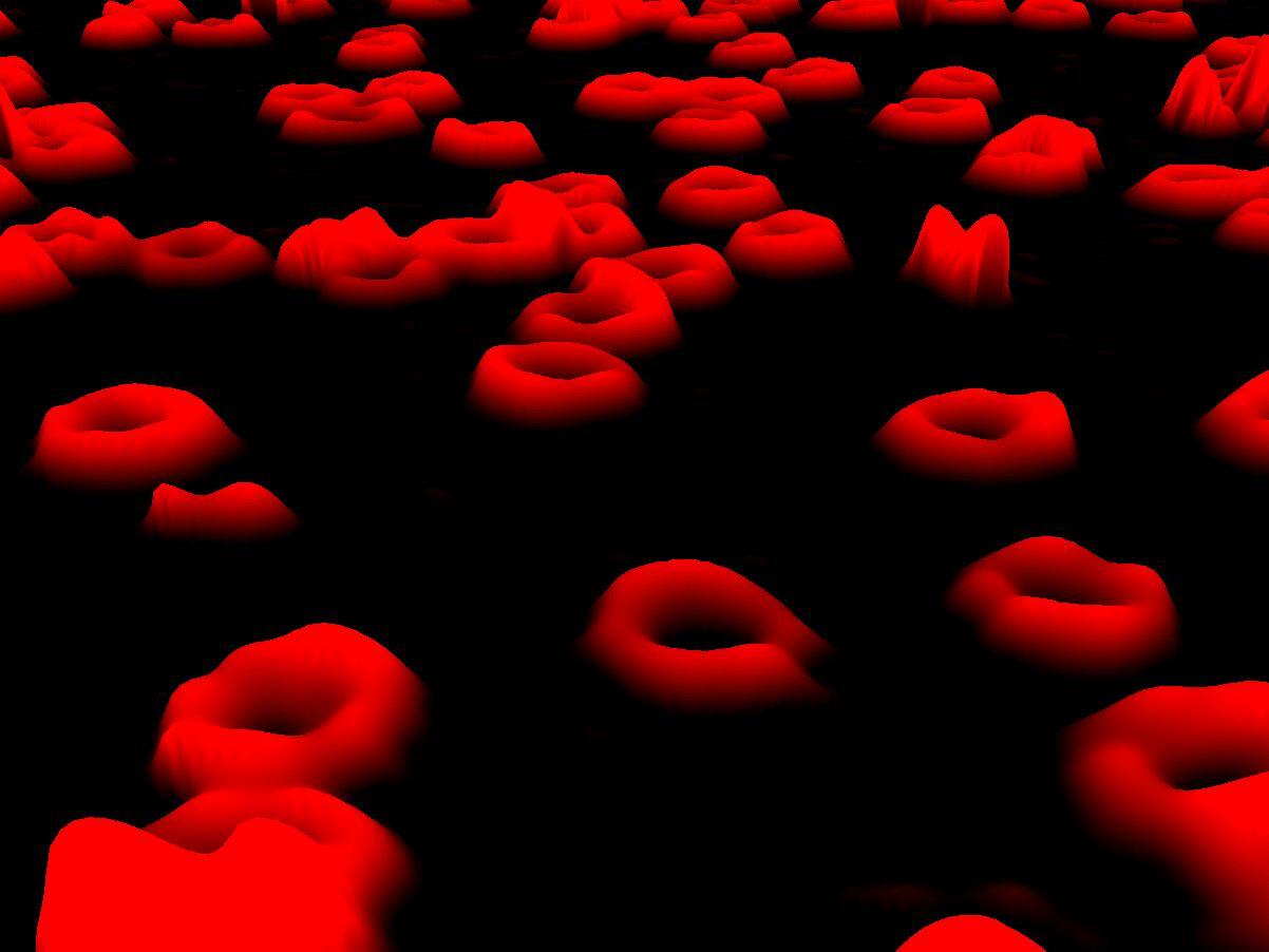 Модель ученых из России выявит нарушения в работе клеток крови