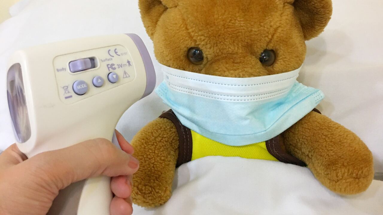 В России научились лечить астму с помощью... клещей. Как это делается ...