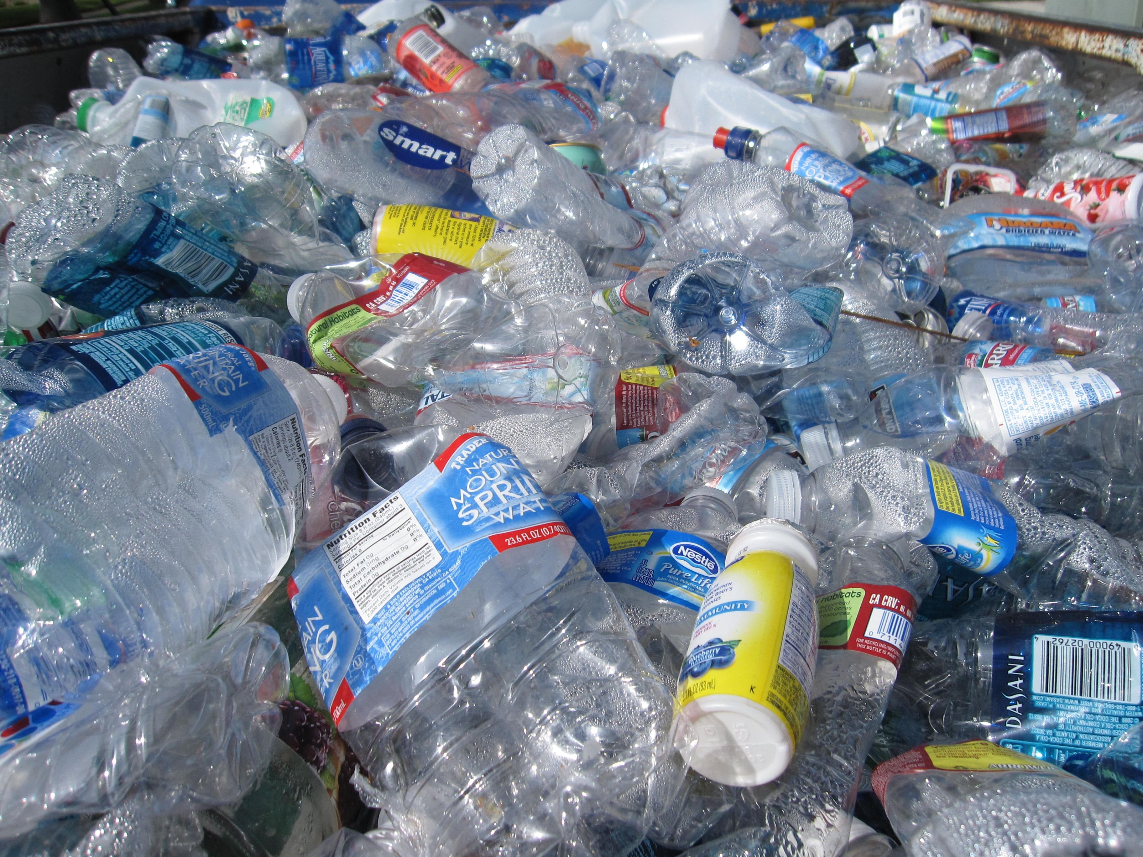 Красноярские учёные создали экологичный пластик