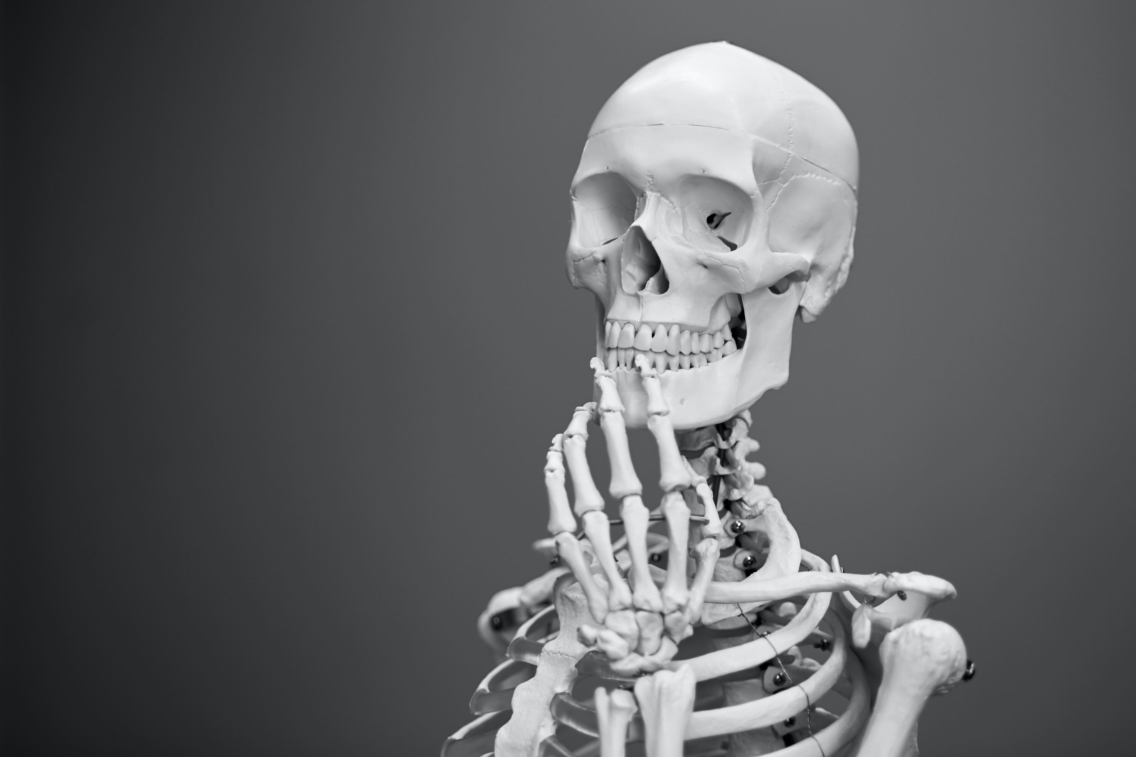 Учёные из Перми создали материал, имитирующий разные типы костей