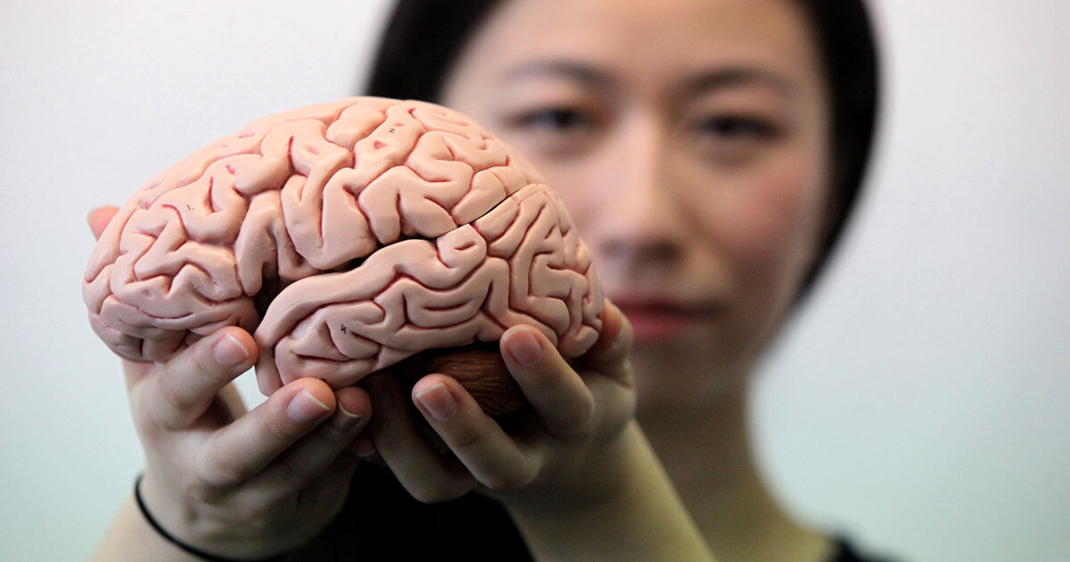 Как сохранить мозг здоровым на десятилетия
