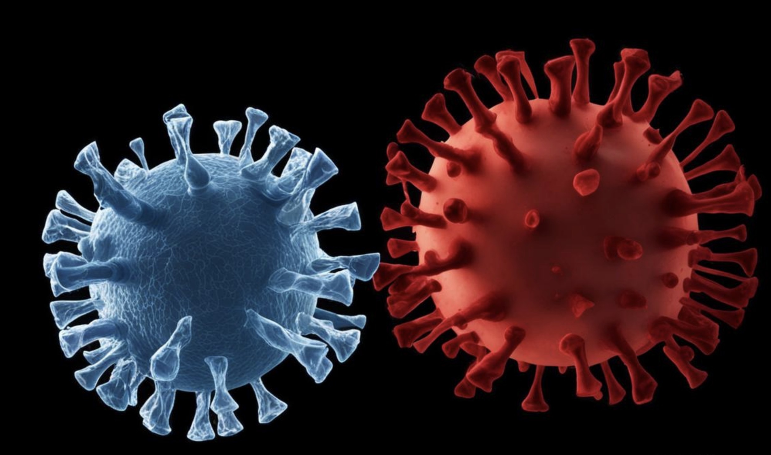 Учёные нашли два новых симптома COVID-19 при заболевании новым вариантом вируса