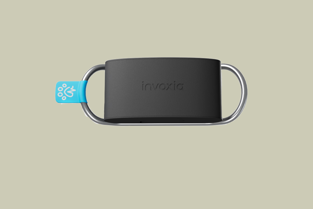 Invoxia представила Minitailz: трекер с ИИ для домашних питомцев