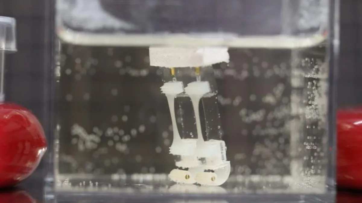 Японцы создали биогибридного робота, работающего на живой мышечной ткани