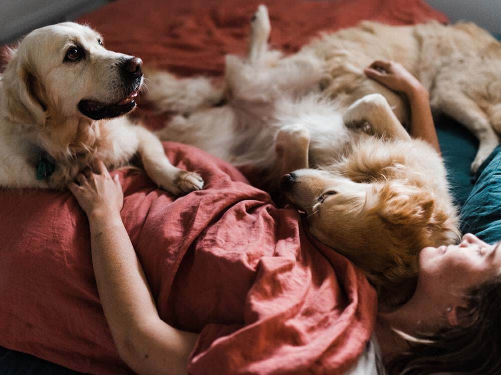 Эксперты рассказали, можно ли позволять домашним животным спать рядом с людьми