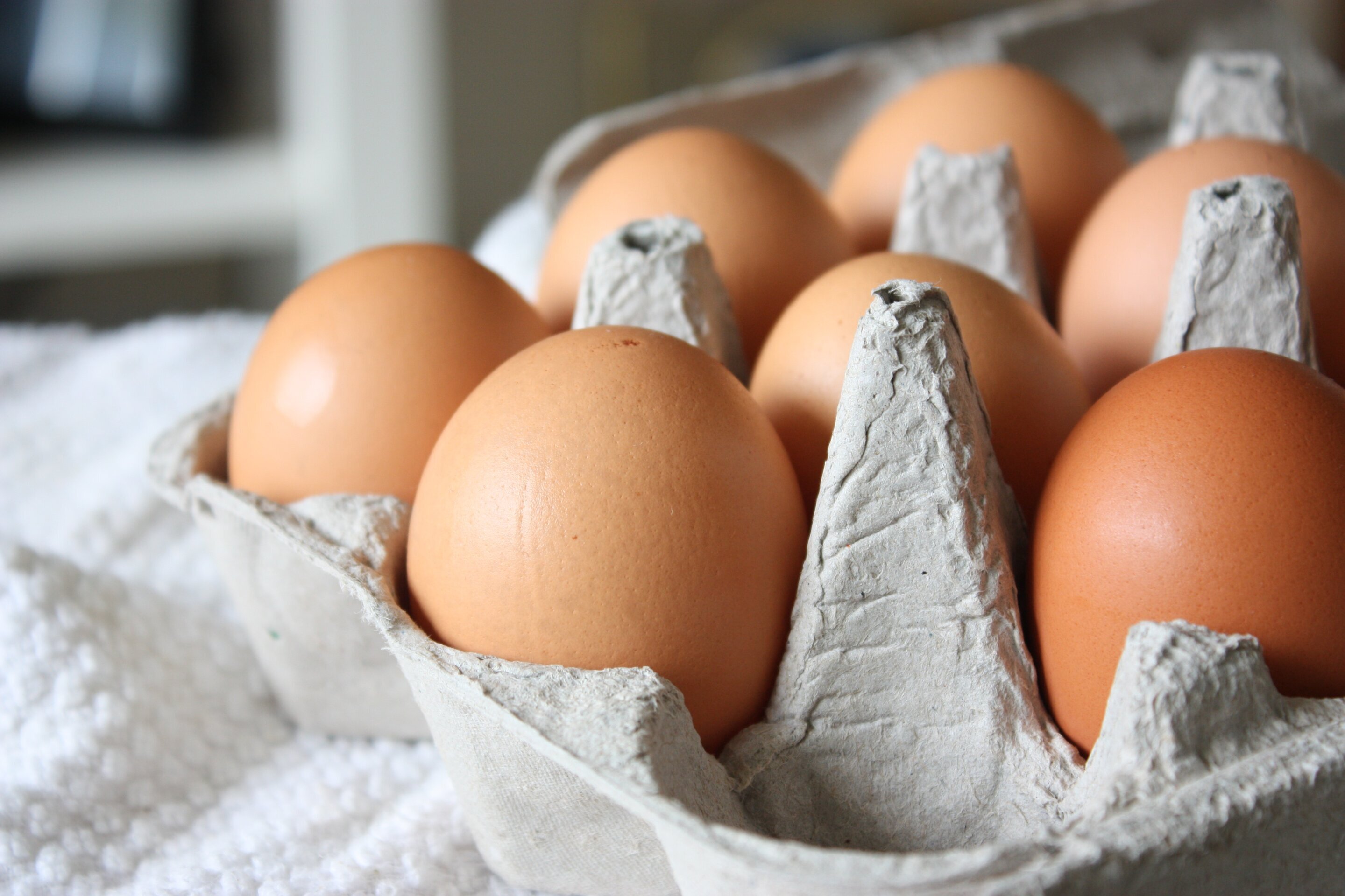Учёные объяснили, как правильно хранить и готовить яйца