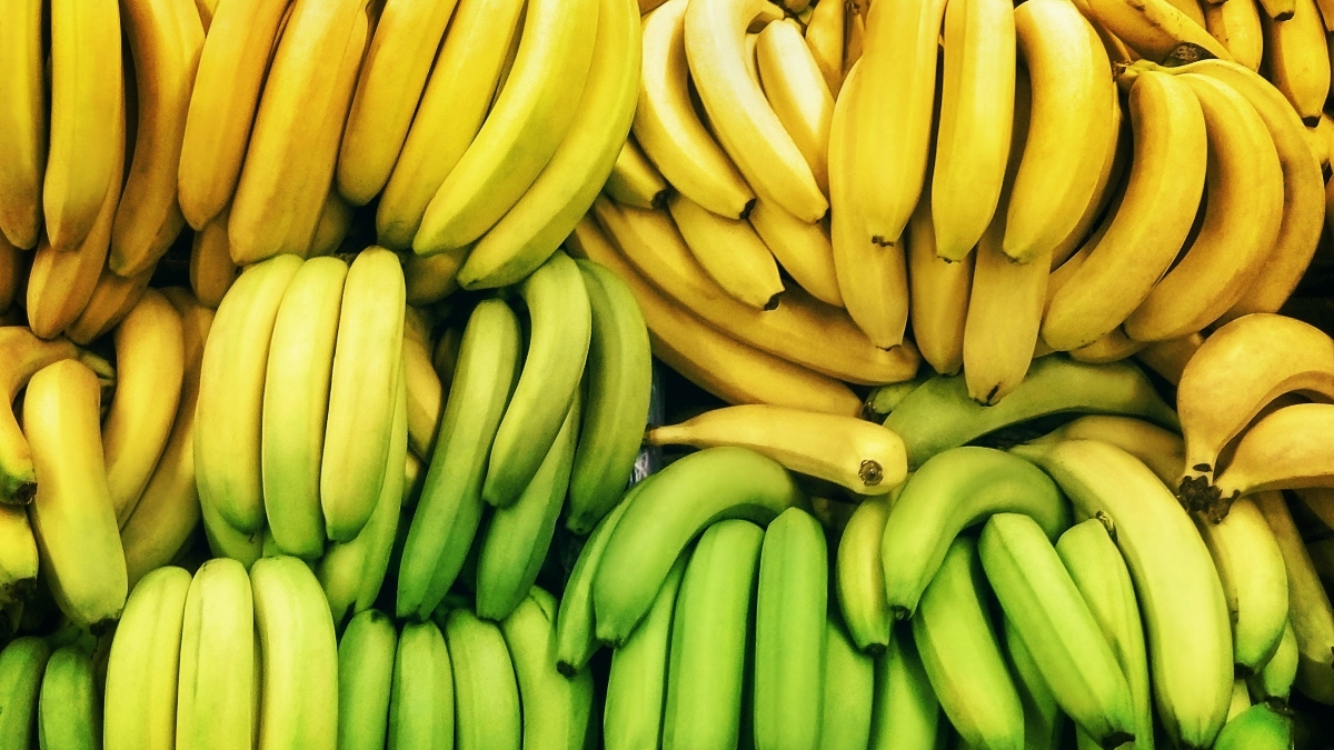 Раскрыто, действительно ли зелёные бананы полезнее жёлтых