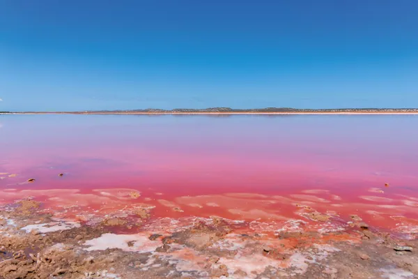 Раскрыто, почему одно из озёр в Австралии — розового цвета