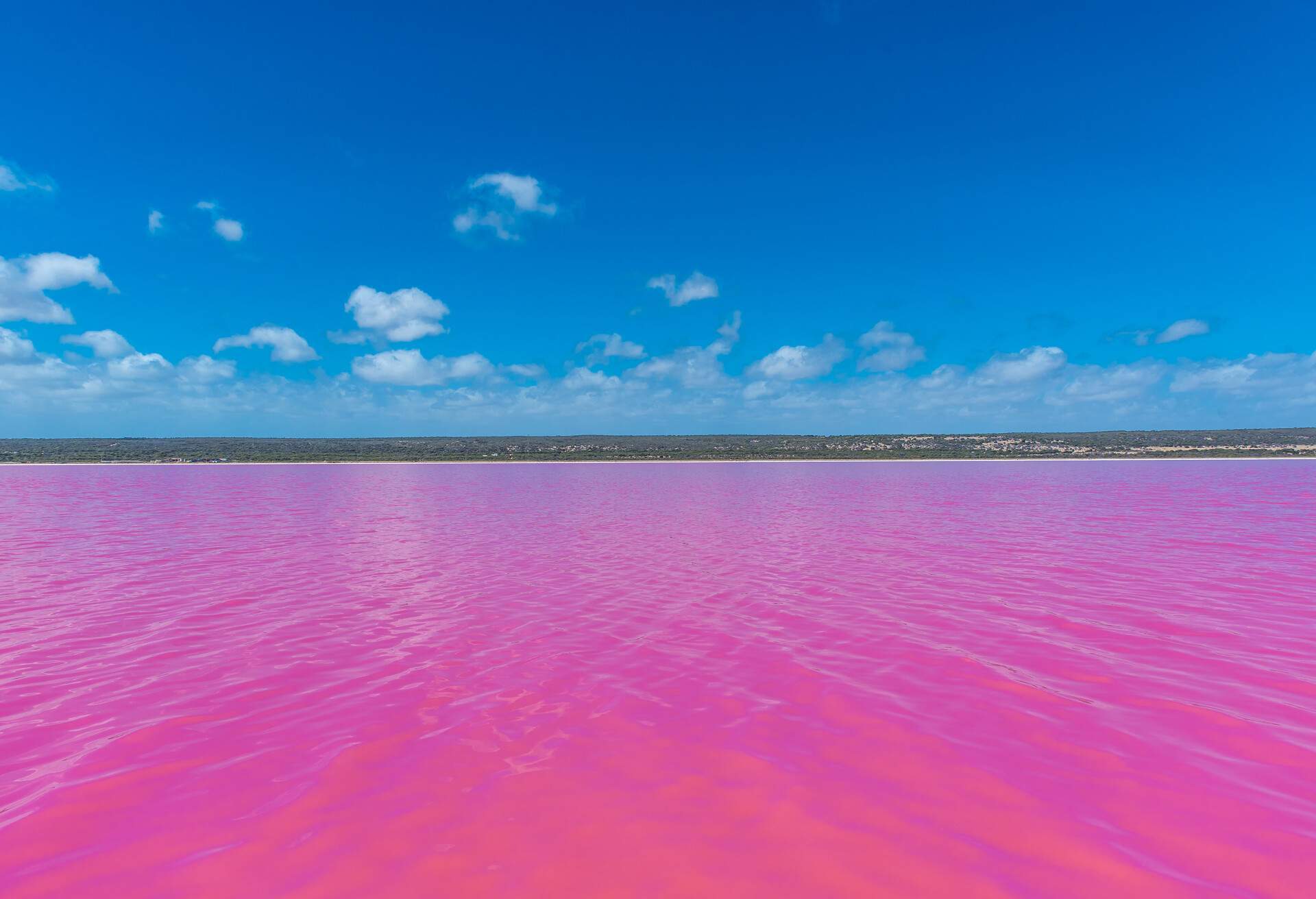 Раскрыто, почему одно из озёр в Австралии  розового цвета