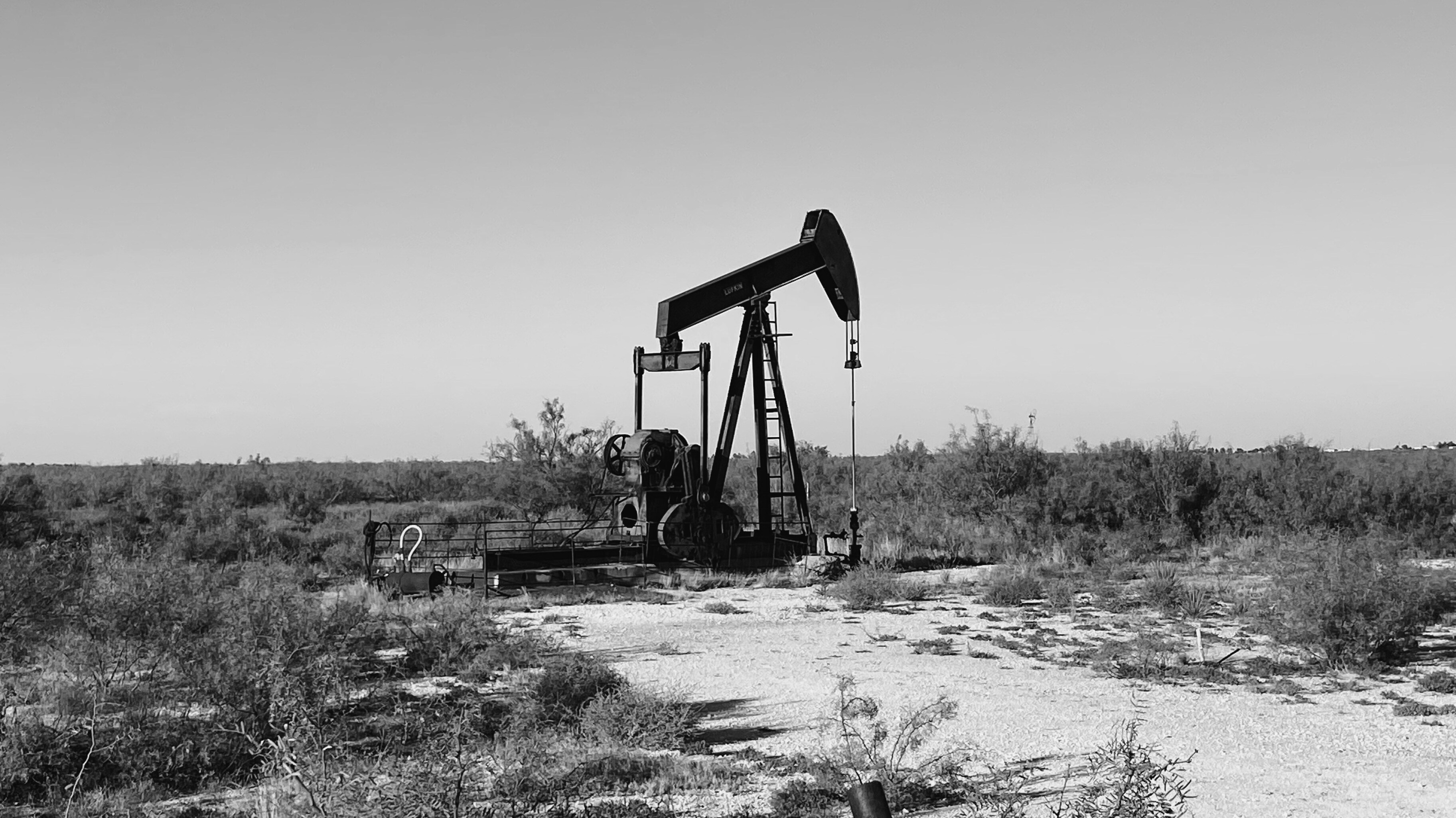 Учёные МГУ обнаружили новый опасный компонент нефти