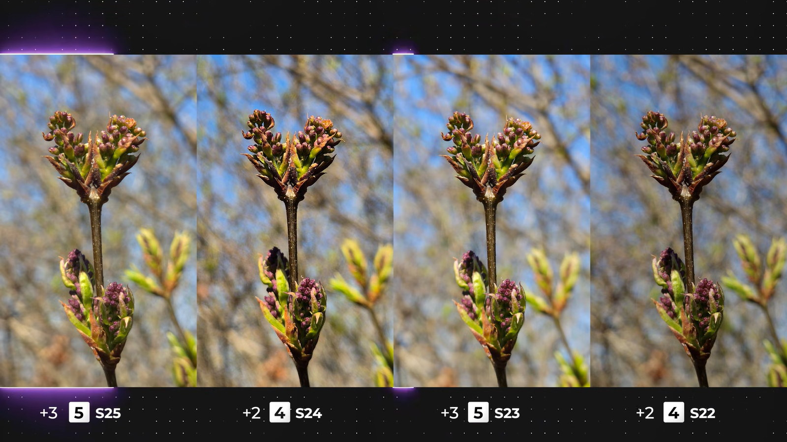 896d37ab1bb3be246db5d05c56a939d4b7fffe19 THE ASHGABAT TIMES