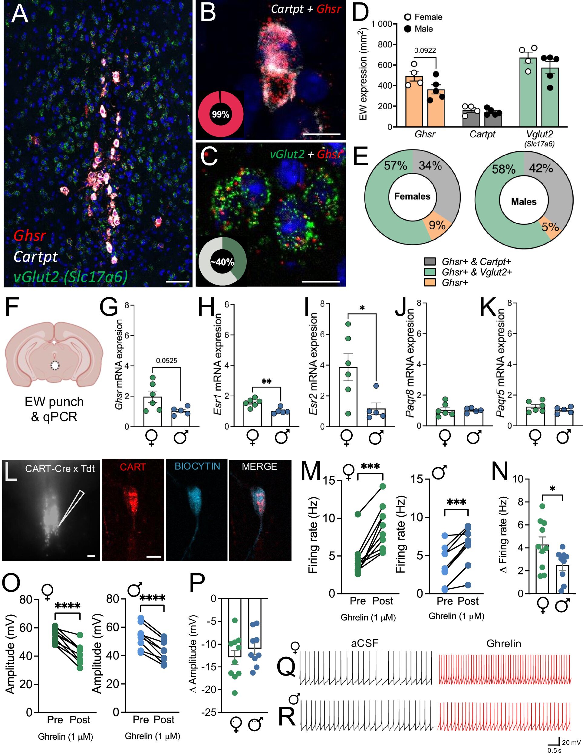 f41313bdd01d070283c4d9af724d5ef13fc73a5f THE ASHGABAT TIMES