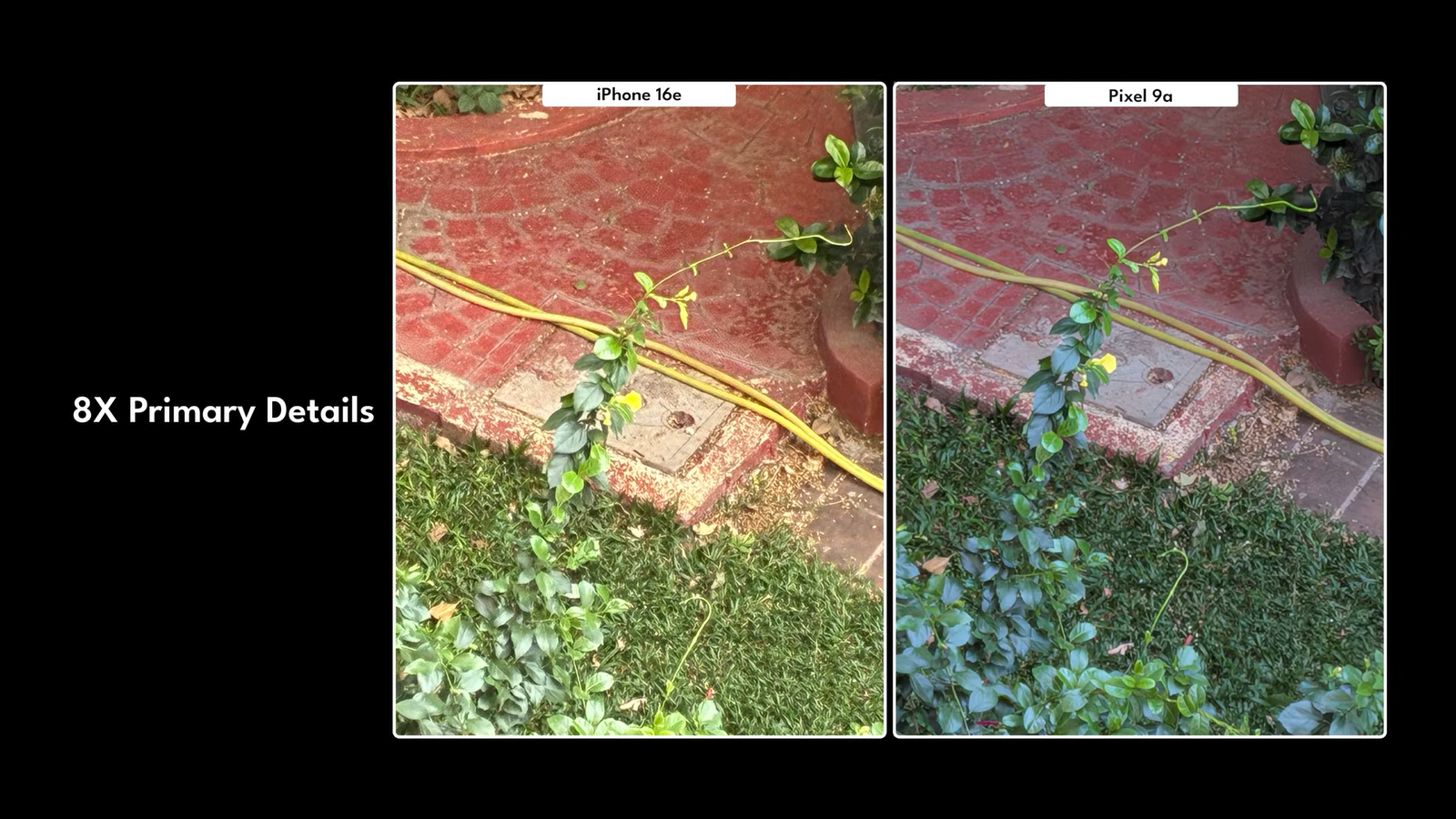 Младшие «породистые» смартфоны Pixel 9a и iPhone 16e сравнили 6 31ebb5fd90e7129950f9f878946ff77794285284 THE ASHGABAT TIMES