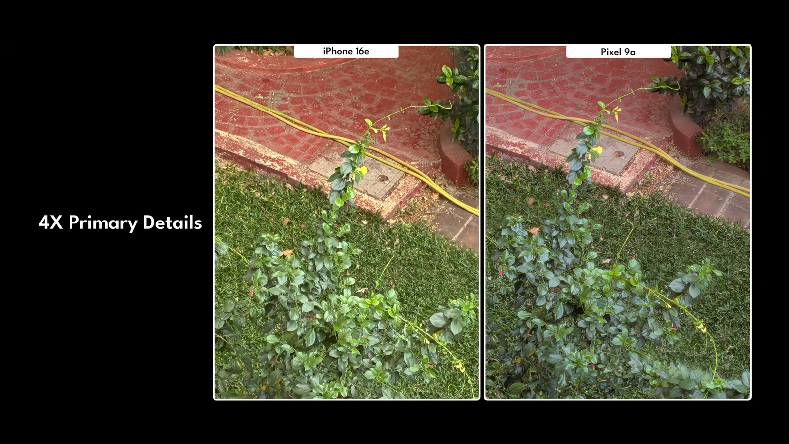 Младшие «породистые» смартфоны Pixel 9a и iPhone 16e сравнили 9 3fcf7393daf20deeb0473754a89542654ba13870 THE ASHGABAT TIMES