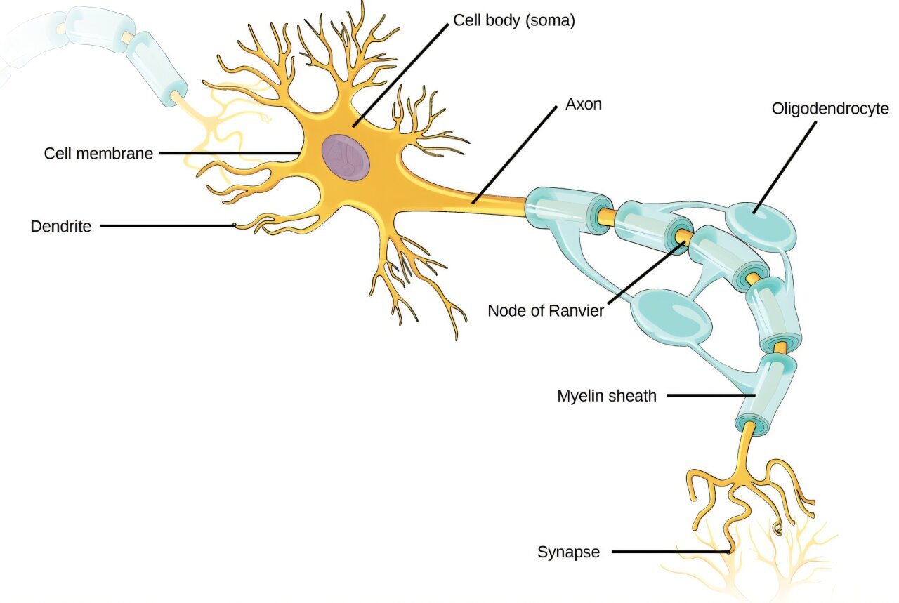 9cdb7039bcb7d6264cb174e611e81cf9b8758c42 THE ASHGABAT TIMES