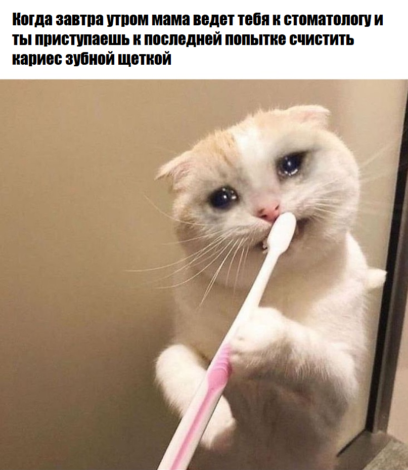 e721fbffa1ab591ea3bef7ace8c47b0824313225 THE ASHGABAT TIMES