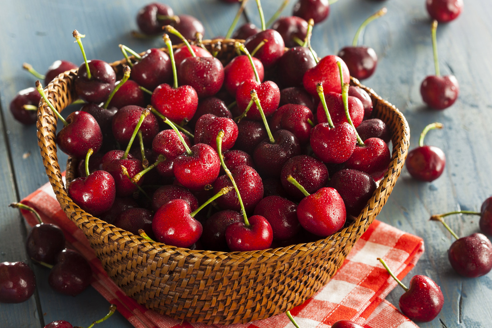 7f8f09fe2e18822a982d4fd7c46137955981224f THE ASHGABAT TIMES