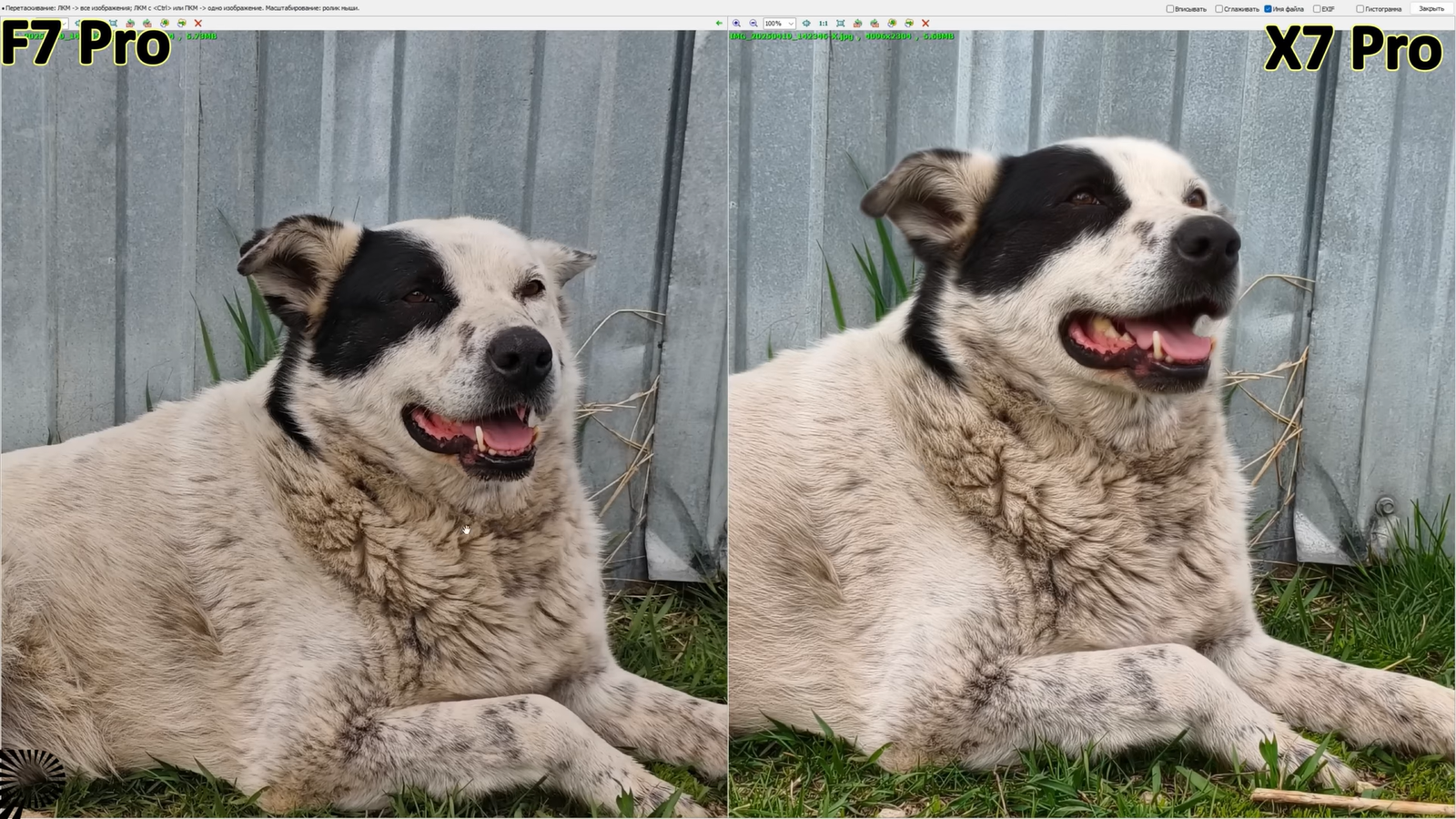 bb19f60dca13adec19f108ad7ce23a4d819f01ca THE ASHGABAT TIMES