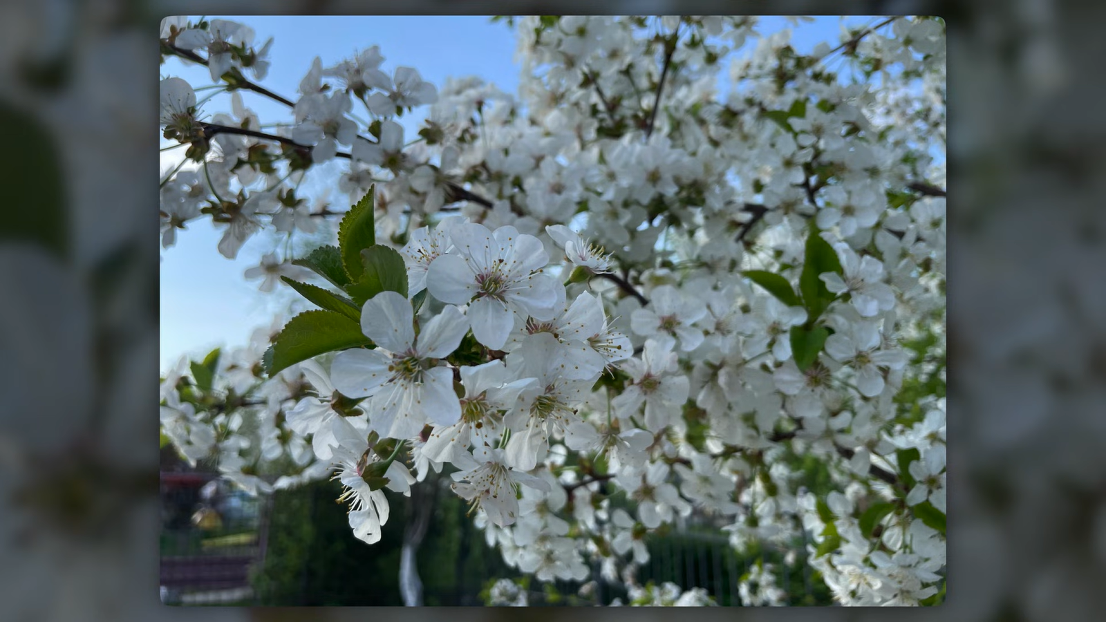 0946bdcfe64bfc657cc899f728e7e545634e1c54 THE ASHGABAT TIMES