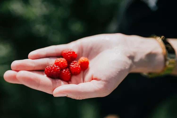 d798be73bb4fcfbeca32d81e60bf7e2deb693f56 THE ASHGABAT TIMES