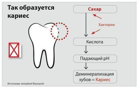 cab2dbb3175e4095eced4d51928dc414cc19b9c2 THE ASHGABAT TIMES