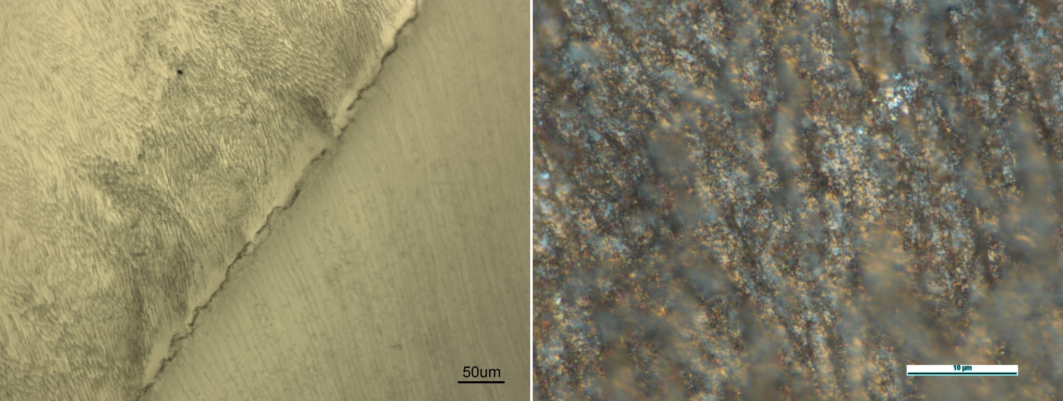 ef5af3c19888979d2e28672f97eddacb4ba42309 THE ASHGABAT TIMES