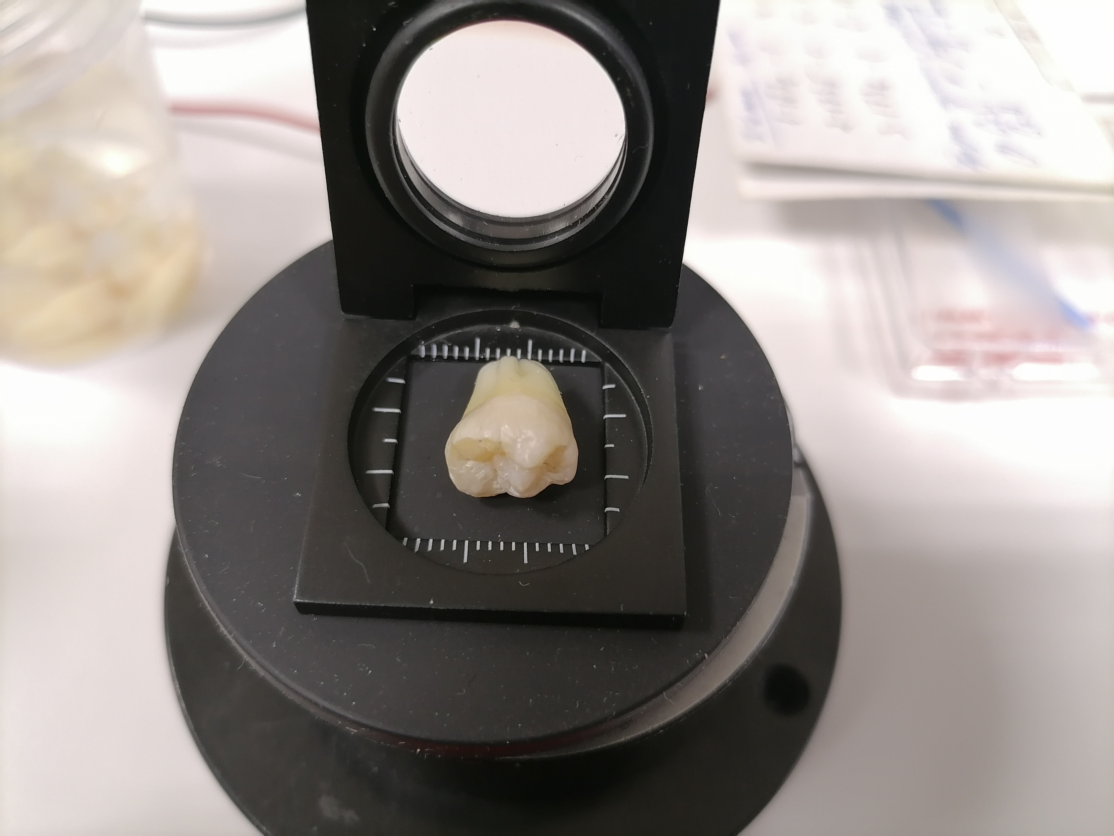 f5b25f65732a42cfc40d89229ad439adbc01a91e THE ASHGABAT TIMES